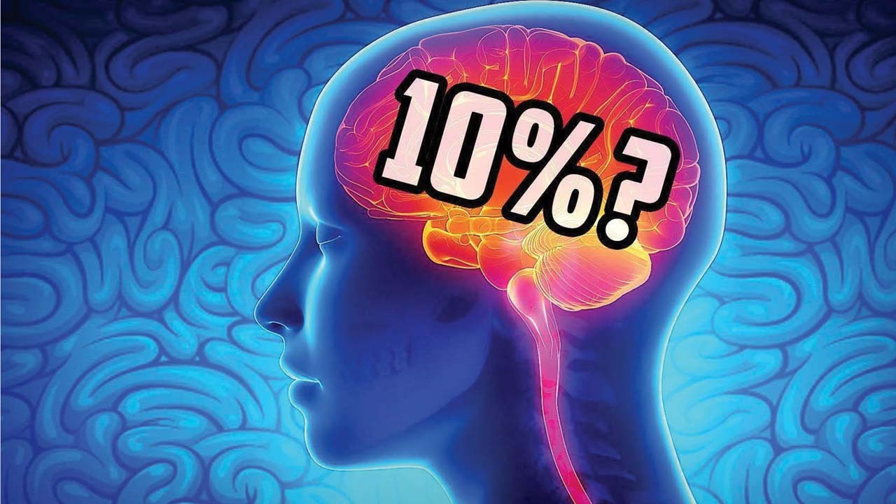 آیا واقعا انسان فقط از ۱۰ درصد مغز خود استفاده می‌کند؟