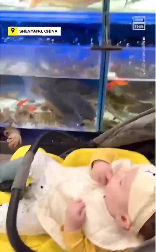 پرش ماهی غول‌پیکر در آغوش یک نوزاد